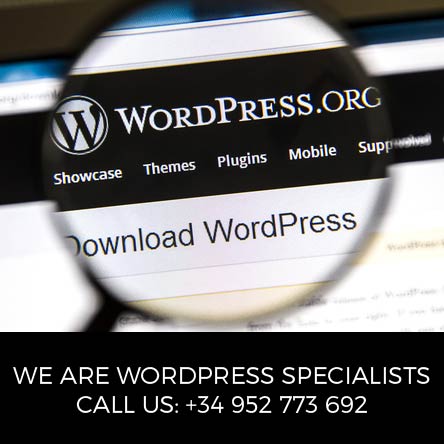 wordpress marbella 6 Reasons You Should Choose WordPress for Your Website